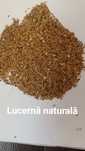 Lucernă tratată. Lucernă naturala și ghizdei