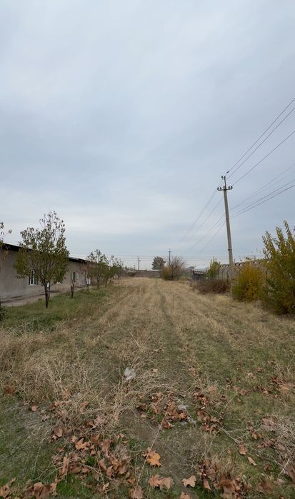 Продается промышленная зона в Ташкентской области!
