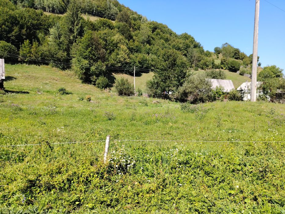 Vând teren intravilan