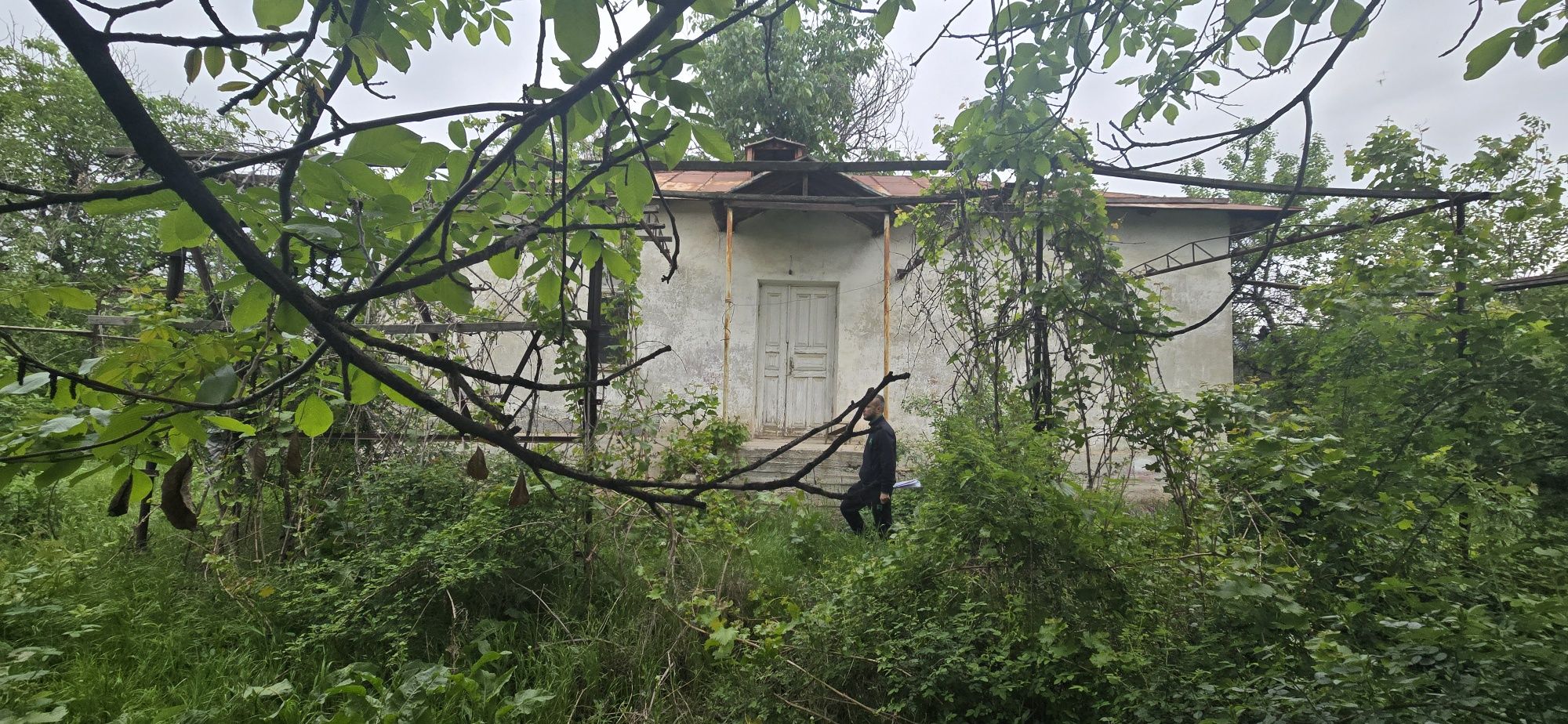 Дача сотилади 6 сотих