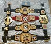 WWE/ UFC Championships