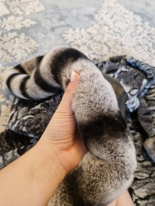 Blana de piele cu doua fete si blana de Chinchilla