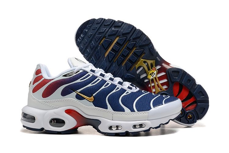 Nike Air Max Plus "PSG"