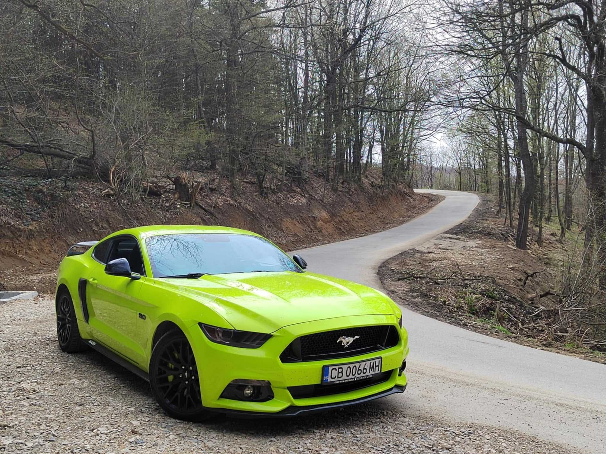 Ford Mustang 5.0 EU Performance Pack / Recaro, PPF, Roush