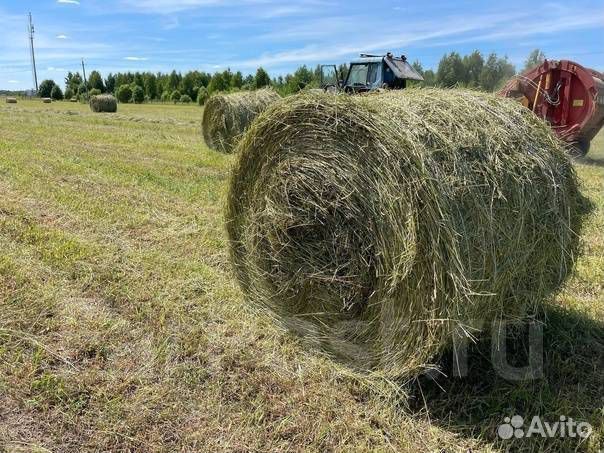 Луговое сено в рулонах