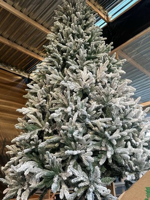 Ёлка Арчалар хар хил коринишдигилари бор