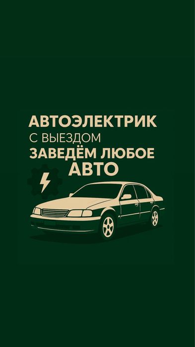 Автоэлектрик на выезд 12/24