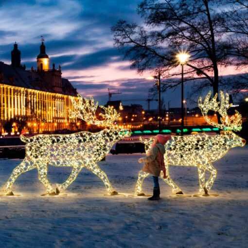 Ren LED – atmosfera de Crăciun pentru casa și afacerea dvs.