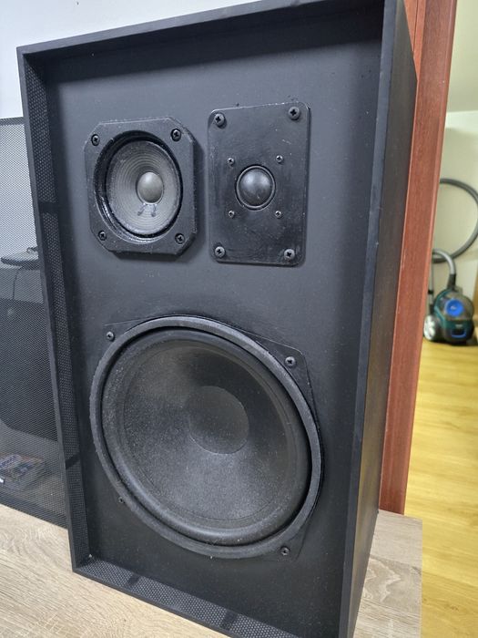 Boxe braun concert 100