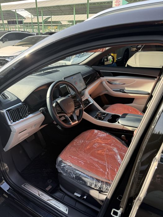 BYD Champion EV 506 km