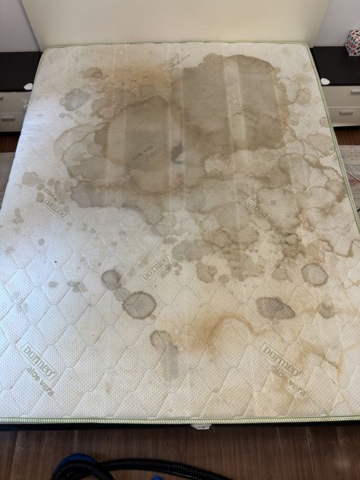 Curatare si igienizare cu abur canapele/saltele/auto un