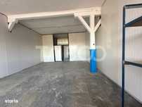 Spatiu industrial de inchiriat  etaj 1 60 mpu in Cisnadie