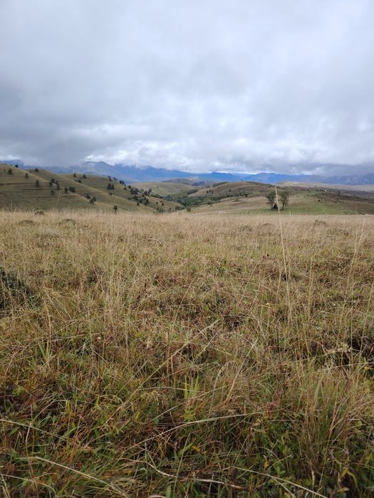 Teren de vanzare an com ponor