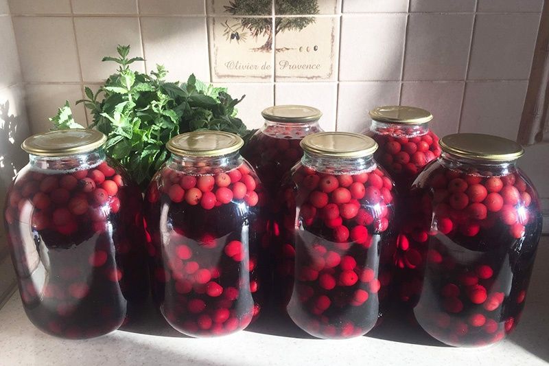 Продам замороженные вишню, клюкву, смородину, чернослив. Свежую тыкву