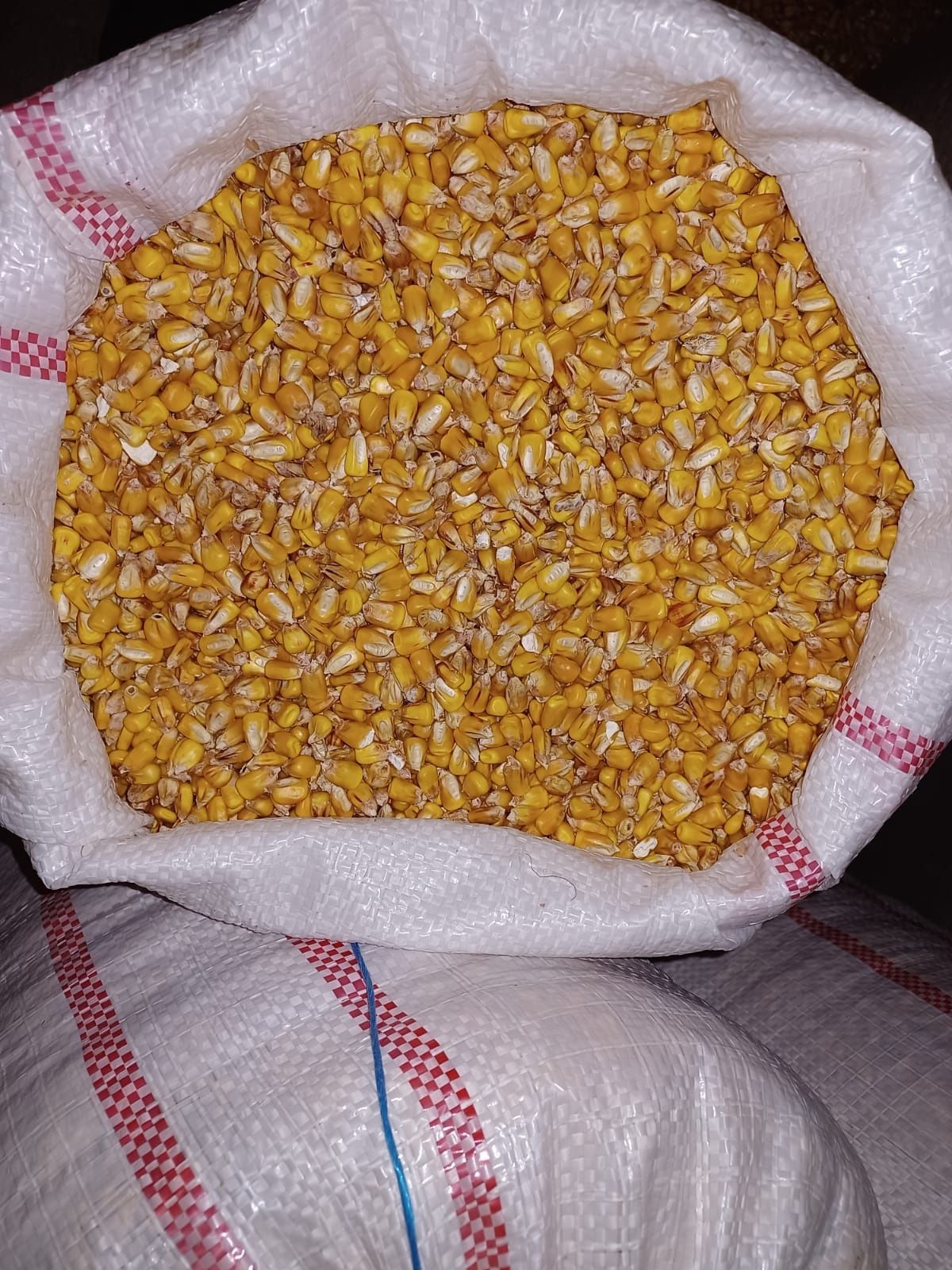 Porumb de vânzare