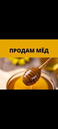 Продам мед(подсолнечника )