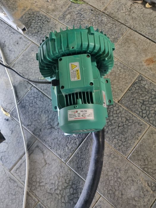 Akvarium baliq sotish uchun