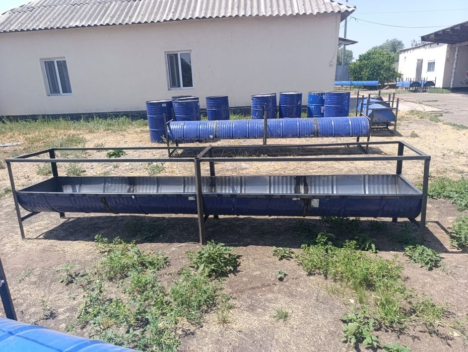 Астау бордақылау қойға