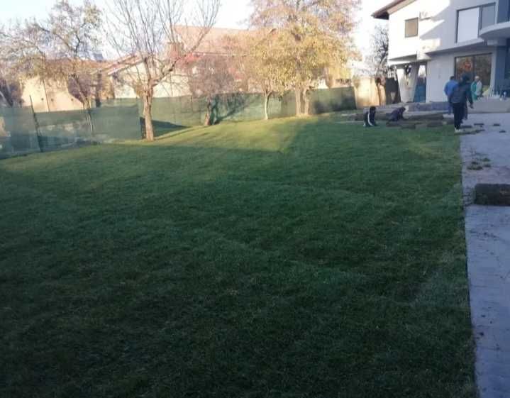 Amenajare Profesională cu Gazon Rulou Tăiat la Zi
