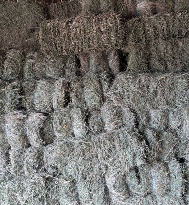 Baloți fân de gradina