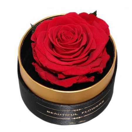 Trandafir criogenat rosu XL Gardinea Domain, cutie negru, satin