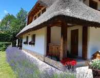 Vand casa D+P+M in zona verde Salicea-Cluj