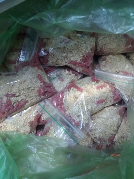 опарыш красный и белый