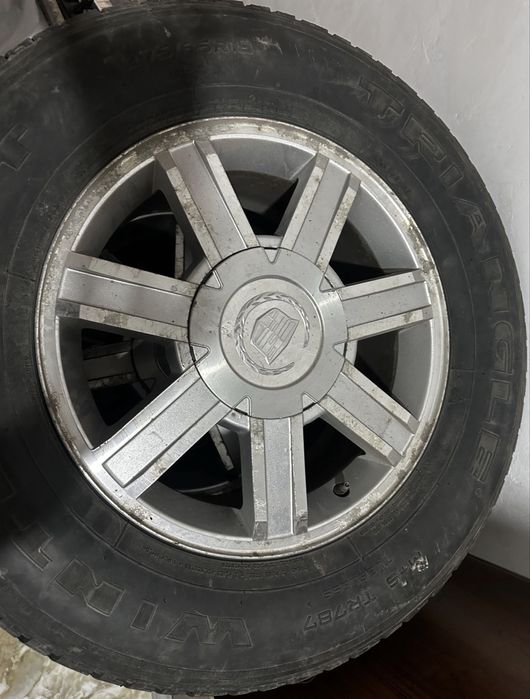 Диски  с  ризиной