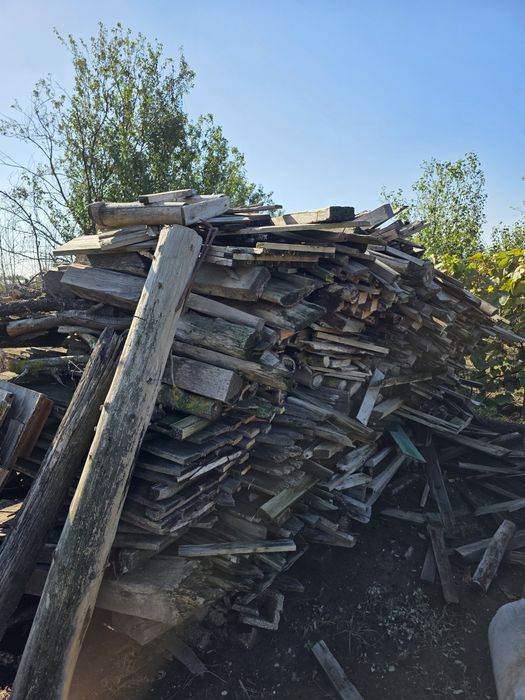 Lemne de foc aproximativ 5 t