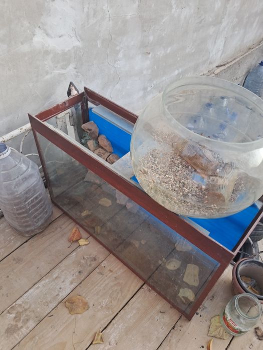 2 ta Akvarium Sotiladi