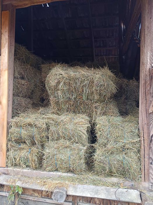 Baloți de fan producție 2025