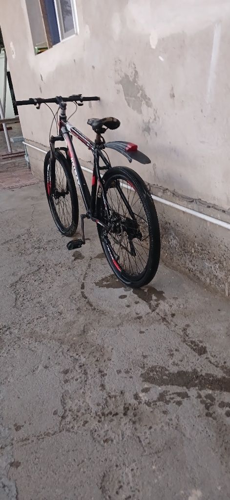 Skarasnoy velik ismi skillmax