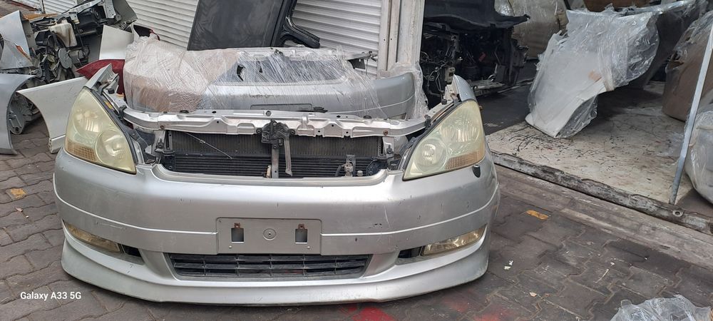 Ноускат для Ипсум