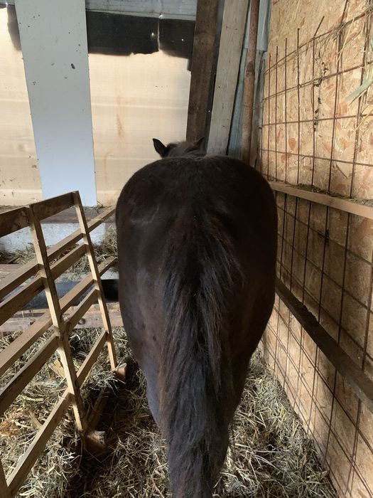 Vand sau schimb manza