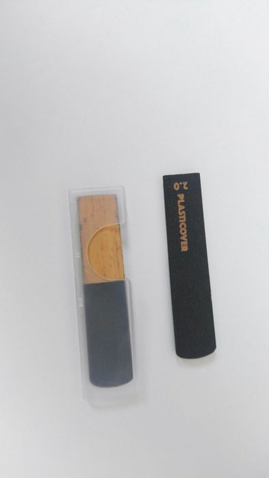 DAdario windows plasticovet alto sax 2