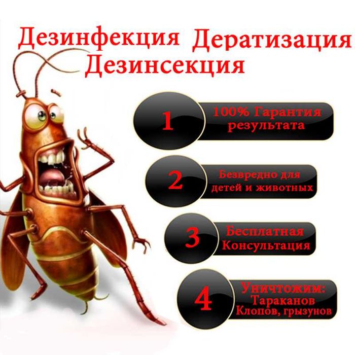 Павлодар №1 Уничтожение клопов тараканов и грызунов. Дезинфекция