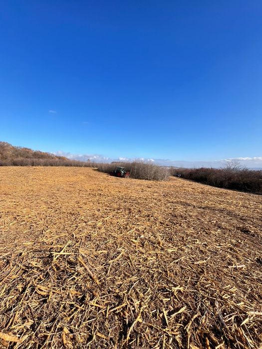 Defrișări și întreținere pășunat