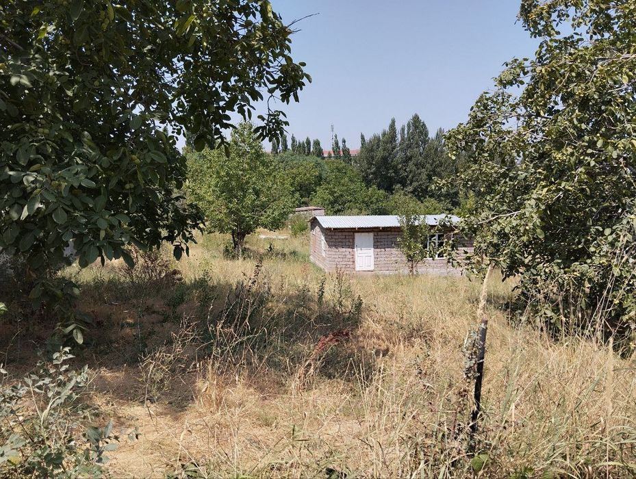 Ер сотилади Чорвокда 6 сотих