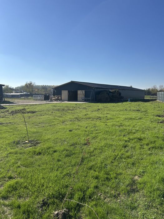 Ferma de vanzare 10700 mp