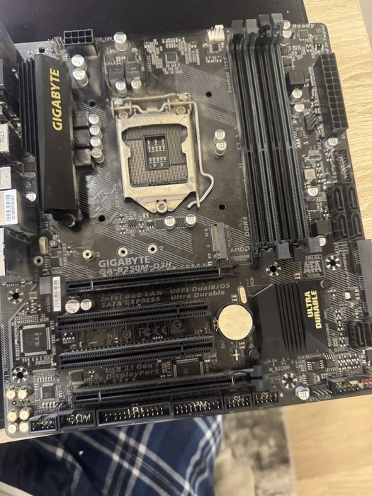 Placa de baza Gigabyte GA-B250M-D36