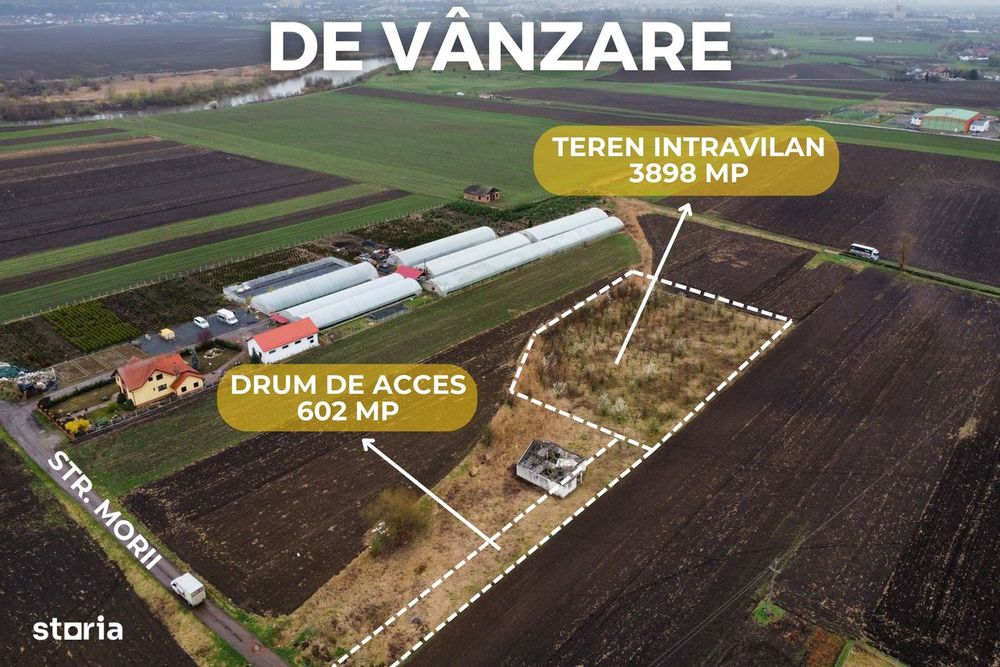 Teren intravilan | sat Curteni | 3.898 mp