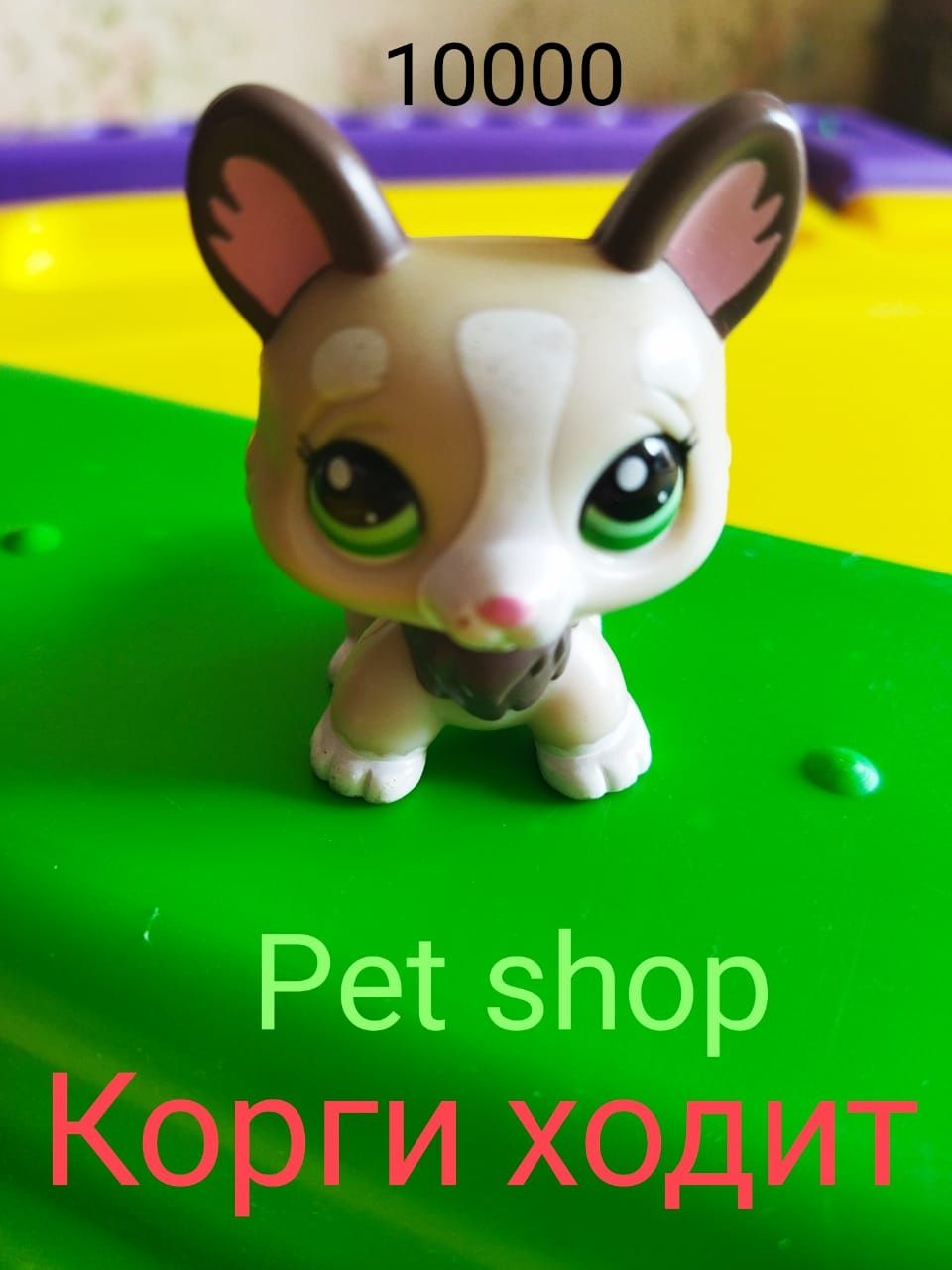 Pet shop.Мотоцикл,кукла,питомец.Корги,шиншилла,стрекоза.Hasbro.оригина