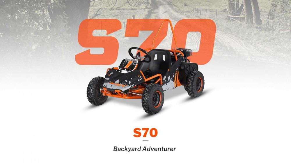 MYMOTO CLUJ vinde : GoKart  copii cu motor benzina KAYO - S70