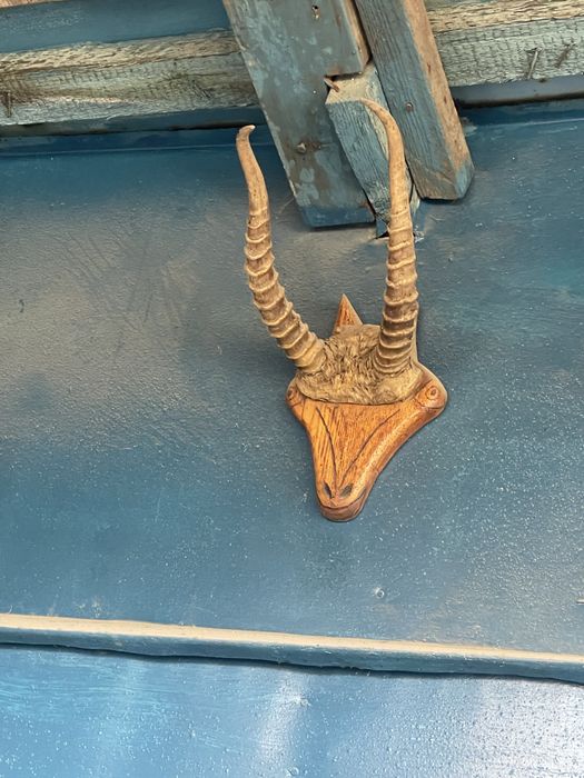 Рога антилопы на деревянной подставке — стильный декор