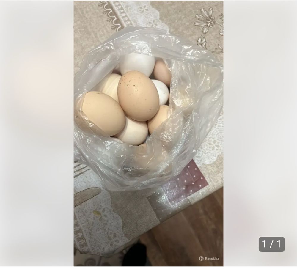 Продам домашнии яйца халал