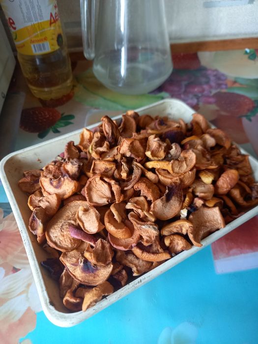 Дом и дача продукты