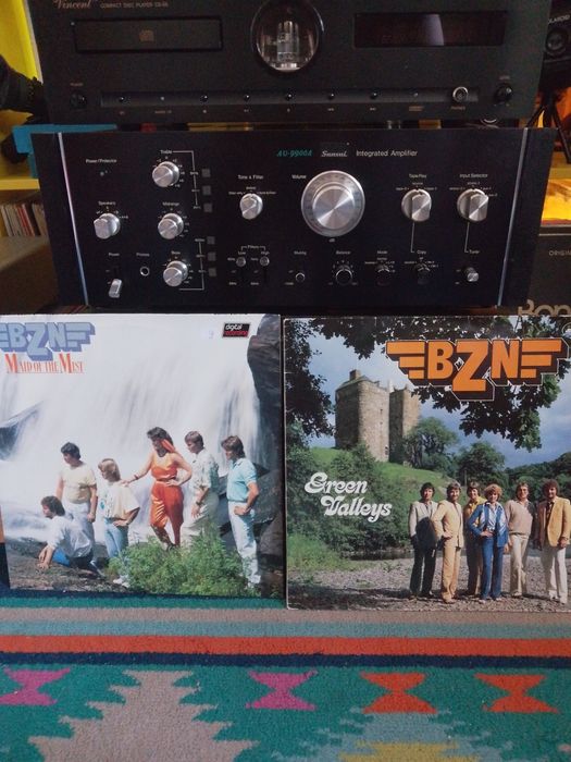 Colecție discuri de Pick îl/Vinyl- BZN