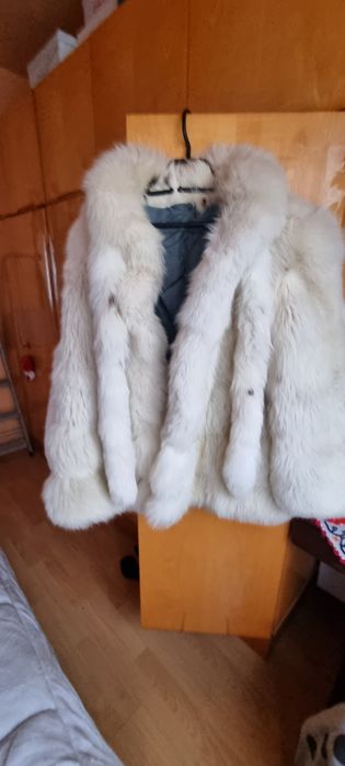 Haina de blana vulpe argintie