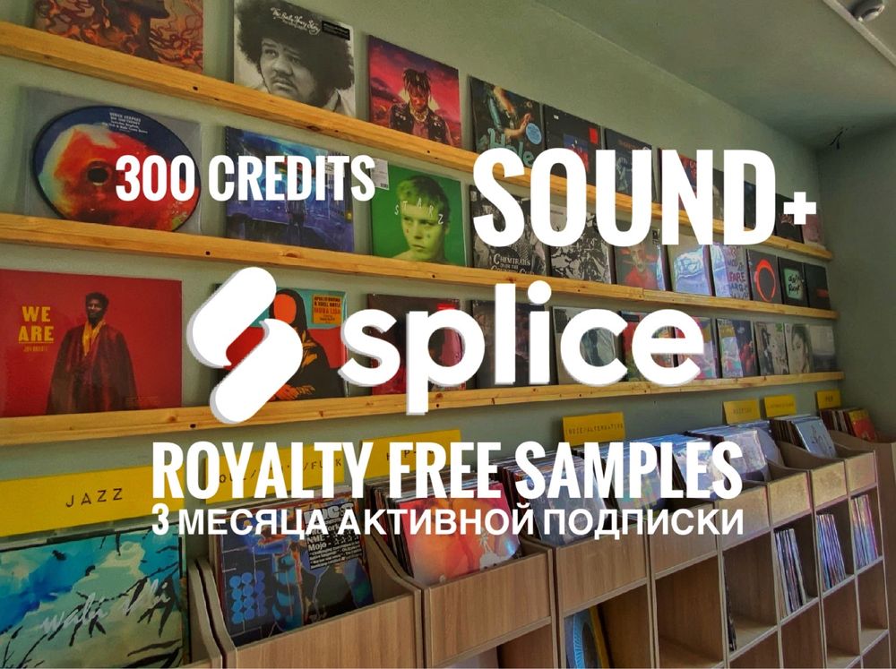 SPLICE sound+ подписка семплы официально