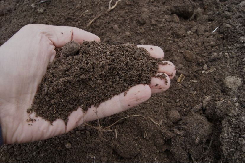 Pamant vegetal si Mranita